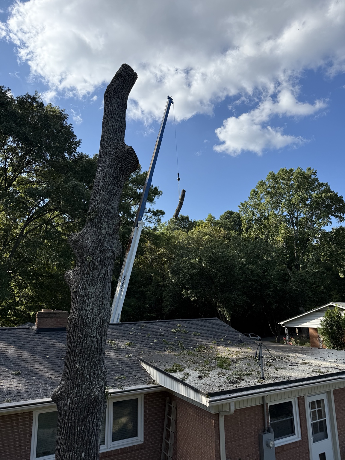 Crane-assisted tree removal